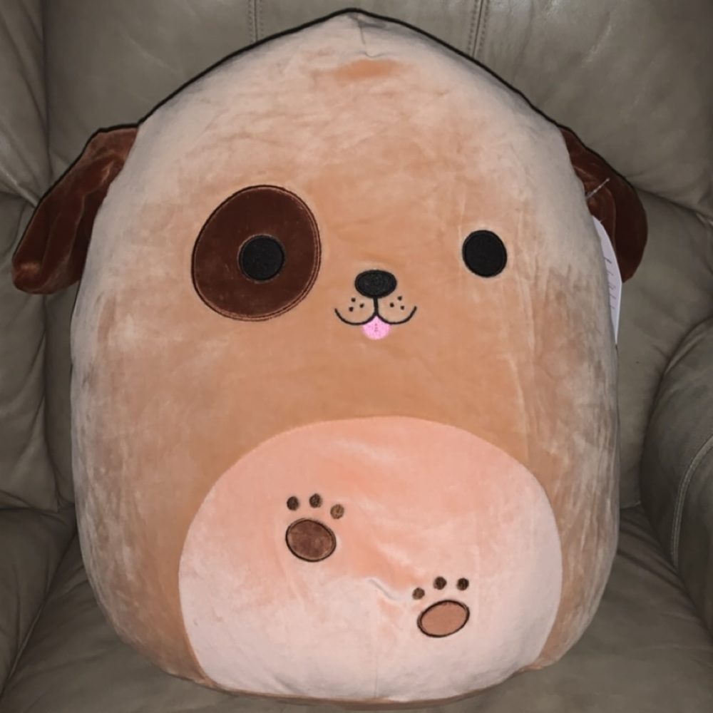 SQUISHMALLOW DOUG THE DOG 🐶